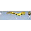 Изысканная ножка-балясина для ЧПУ в формате STL
