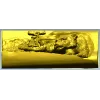 Mountain Tiger Relief
