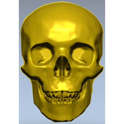 Реалистичная 3D модель черепа в формате STL для ЧПУ