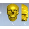 Реалистичная 3D модель черепа в формате STL для ЧПУ
