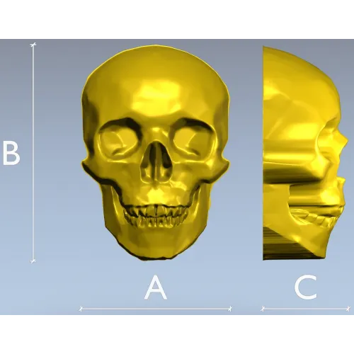 Реалистичная 3D модель черепа в формате STL для ЧПУ