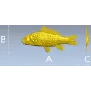 Рельефный карп для фрезеровки - STL 3D модель