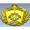 Герб ВИ ИТ ВА МТО - 3D модель в формате STL для ЧПУ