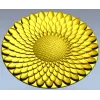 Sunflower Rosette - High-Relief STL 3D Model for CNC