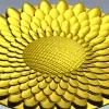 Sunflower Rosette - High-Relief STL 3D Model for CNC