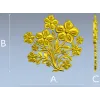Blooming Cartouche