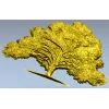 Дубовый барельеф - 3D модель в формате STL для ЧПУ