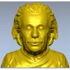 Бюст пожилого учёного - 3D модель STL для ЧПУ