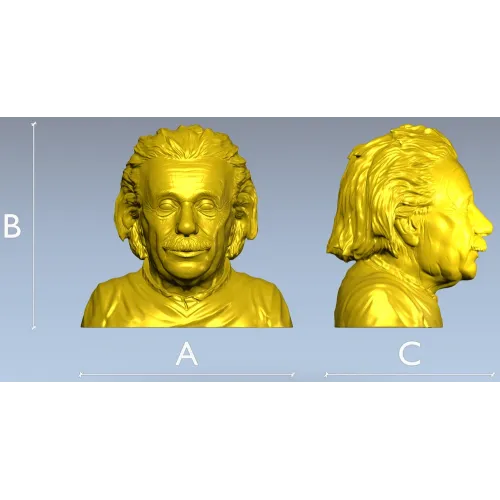 Бюст пожилого учёного - 3D модель STL для ЧПУ