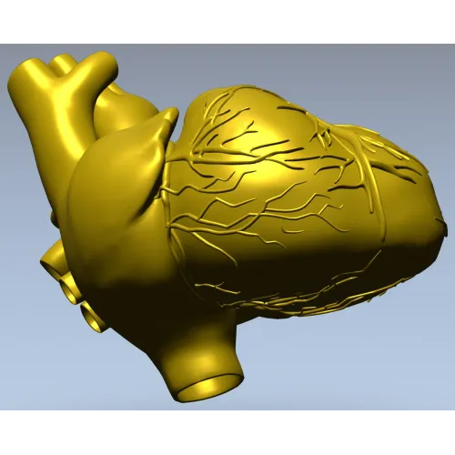 3D модель анатомического сердца в формате STL для ЧПУ
