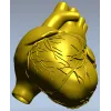 3D модель анатомического сердца в формате STL для ЧПУ