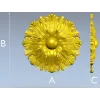 Acanthus Sun Rosette - STL 3D model for CNC milling