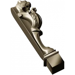 Львиная лапа