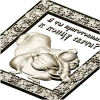 Ornate Squirrel Relief STL for CNC Milling
