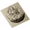 Lotus Bodhisattva High-Relief STL