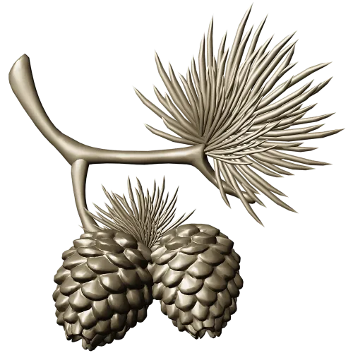 Pine Sprig with Cones - Detailed STL 3D Model for CNC