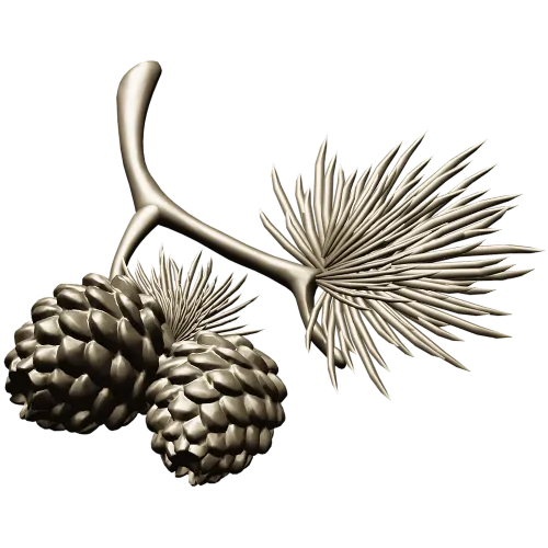 Pine Sprig with Cones - Detailed STL 3D Model for CNC
