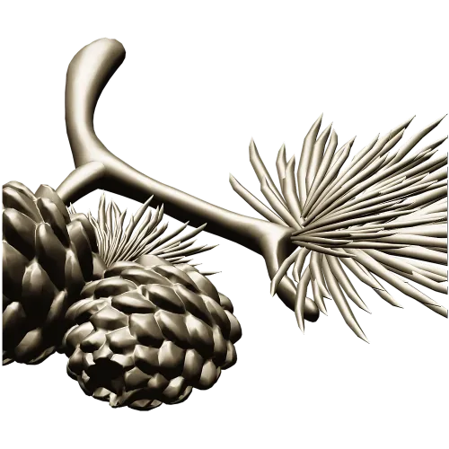 Pine Sprig with Cones - Detailed STL 3D Model for CNC