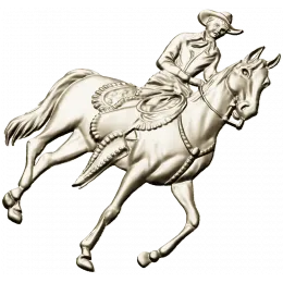Всадник в седле