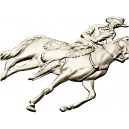 Всадник в седле
