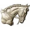 Horse head relief STL - high-detail 3D model for CNC carving