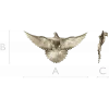 Soaring Dove Relief - 3D STL model for CNC milling