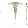 Sylvan Muse - detailed 3D STL model for CNC carving