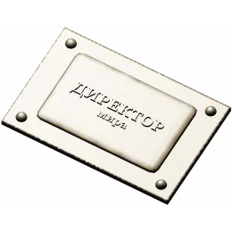 Табличка "Директор мира"