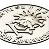 Coronavirus Skull Coin - STL 3D model for CNC