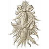 Corn & Wheat High-Relief STL for CNC