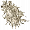 Corn & Wheat High-Relief STL for CNC