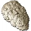 Green Man Oakleaf Relief STL for CNC