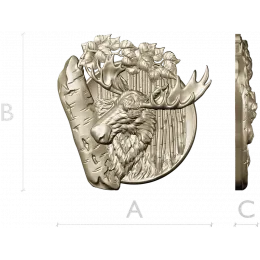 Лесной Трофей