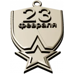 Медаль Защитнику