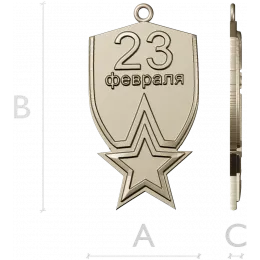 Медаль Защитнику