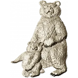 Медвежья семья