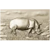 Носорог в траве - 3D панно STL для ЧПУ