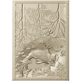 Пруд с карпом