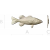 Реалистичная STL 3D модель окуня для ЧПУ - барельеф для фрезера