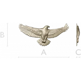 Парящий орёл