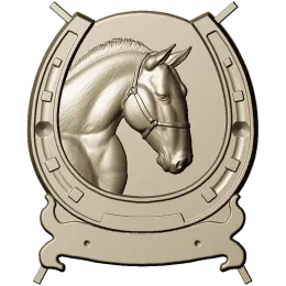 Подкова удачи