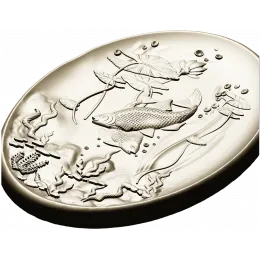 Лагуна с карпами