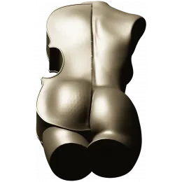 Скрипичный тор