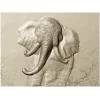 Барельеф головы слона - 3D модель STL для ЧПУ