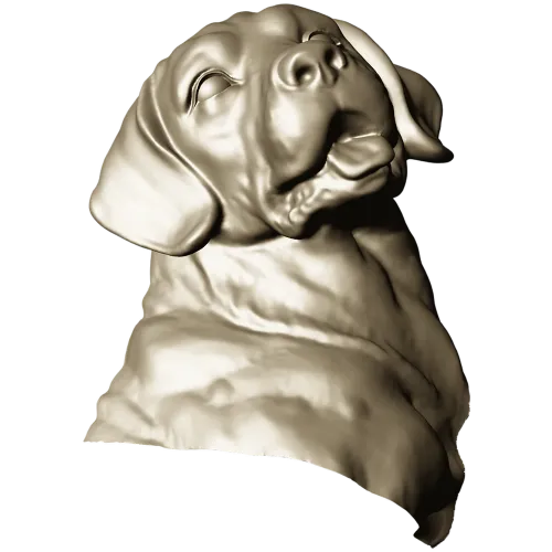 Барельефный бюст лабрадора - 3D модель STL для ЧПУ