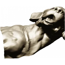 Дружелюбный лабрадор