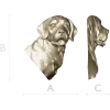 Барельефный бюст лабрадора - 3D модель STL для ЧПУ