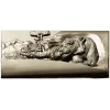 Mountain Tiger Relief