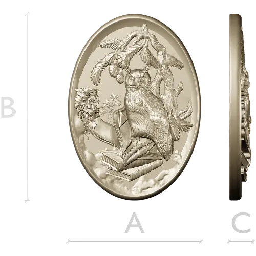 Scholar's Owl Oval Relief STL