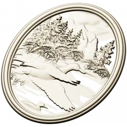 Полет уток